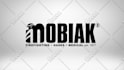 create 42 amazing animated logo intro video in 24hrs