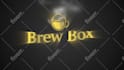 create professional  and 100 percent unique custom intro logo animation