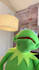 have kermit the frog record a video message or audio message