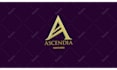 create professional logo animation and youtube intro in after effects
