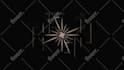 create a 3d rotating logo or 3d spinning animation