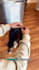 create dog or cat ugc video ads for your pet products and services