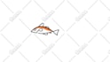 create a professional custom animation for your logo