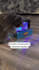 create dropshipping video ads for facebook, and tik tok
