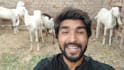 wish happy birthday and sing song with my goats