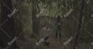do rotoscoping, vfx cleanup, wire object removal from video
