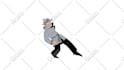 create professional 2d cartoon animation video in moho