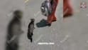 create monetizable funny animals videos, pets compilation within 24hr
