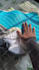 craft ugc videos for your brand tiktok, shorts, reels