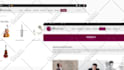 create website promo video and saas explainer video