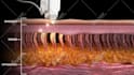 create 3d medical animation and 3d modeling
