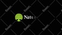 create a professional custom animation for your logo