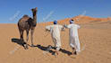 do tik tok dance, dance video, dance camel, group dance
