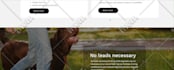 design and develop a responsive wix website or wix website redesign