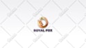 create professional 2d 3d logo animation and youtube intro video