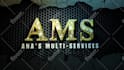 create an awesome wall breaking logo intro
