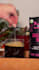 create ugc content on beauty, fashion and lifestyle