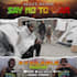 create a stunning music  video promo video for you