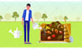 create 2d animated explainer, logo animation and anything with after effects