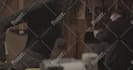do hollywood quality rotoscoping,keying professionally
