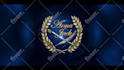 create a stunning custom logo animation or video intro