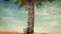 create 3d coffee animation ads