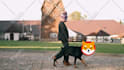 do funny memes face swap and head swap meme video
