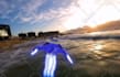 do image animation or animate picture