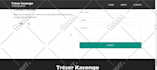 build a modern personal portfolio website using react and next js