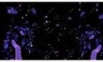make animated trippy psychedelic visuals lyrical video