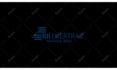create mesmerizing custom logo animation for business owners