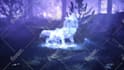 create 4k lone wolf howling logo intro animation