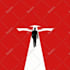 create 2d animated explainer, logo animation and anything with after effects