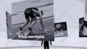 do cinematic 3d product animation promo video render mockup