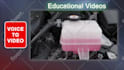 do editing documentary explainers for social media and youtube videos