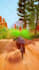 record satisfying and engaging gameplay shorts for social media
