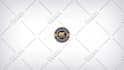 make 3d logo animation videos professionally