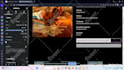 design wordpress website and wordpress website development