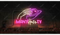 make 3d custom neon light intro text or logo animation