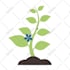 create custom json lottie animation for website or app