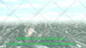 create amazing amv, game edits or anime edits full HD 1080p