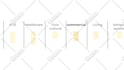 create custom made logo animation for your brand