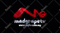 create stunning logo animation or youtube intro video