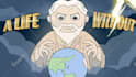 do engaging cartoon animation 2d animation