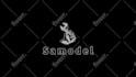 make animated intro video, motion graphics, animated logo, hand drawn signature