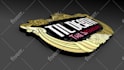 create a professional 3d logo animation intro video in 24 hours