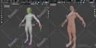 do professional 3d rigging in blender and maya