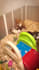 professional video short for your social networks
