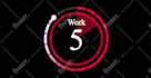 create animated countdown timer video 4k up to anytime