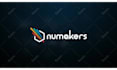 create a amazing professional custom animation for your logo